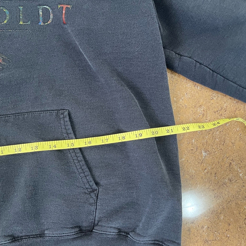 Hanes ‘HUMBOLDT’ Charcoal Gray Hoodie with Tree Design - Picture 4 of 7